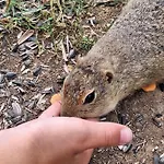 Muranka * Muran