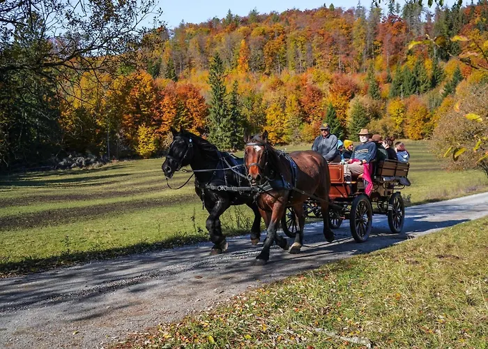 بيت للعطل Muranka *